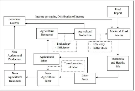 Figure 7. A conceptual framework of food security in Indonesia 