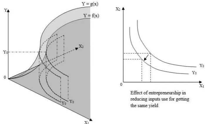 Figure  1.  The effect of entrepreneurship in shifting production function upward 