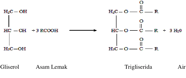 Gambar 1. Reaksi Trigliserida 