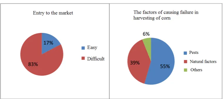 Figure 6. The perception of respondents on corn market and factor affecting corn production  