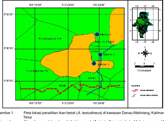 Gambar 1. Peta lokasi penelitian ikan betok (A. testudineus) di kawasan Danau Melintang, Kalimantan Timur