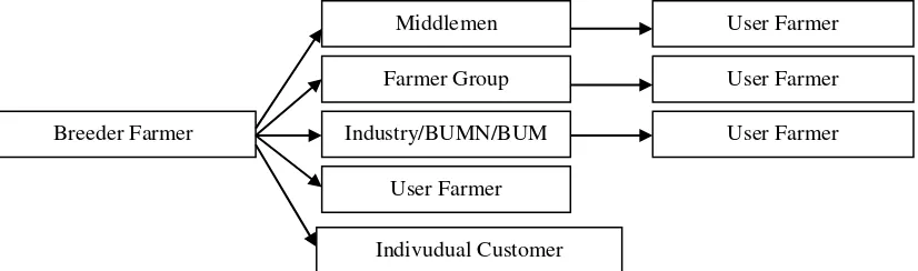 Figure 1. Longest Marketing Chain of Superior Seeds Commodity  
