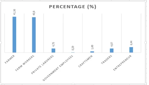 Figure 1. Professional Distribution of Kasepuhan Sinar Resmi 