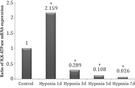 Figure 1. Ratio of H,K-ATPase mRNA expression. *) p < 0.05 vs control