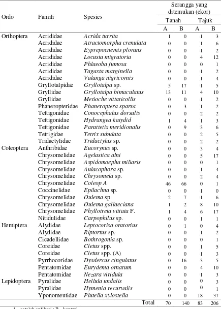 Tabel 1.  Jenis serangga fitofaga yang ditemukan pada pertanaman caisin setelah aplikasi bioinsektisida cair dan kontrol 