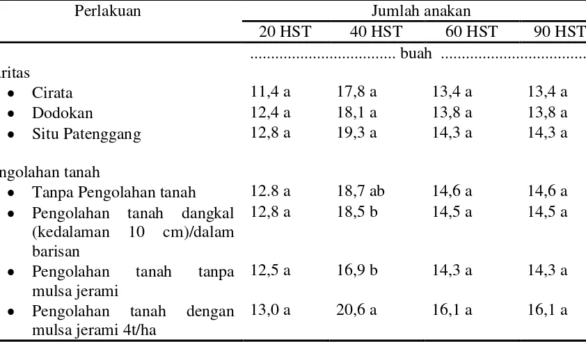 Tabel 4 . Rata-rata tinggi tanaman selama pertanaman berdasarkan varitas dan pengolahan tanah