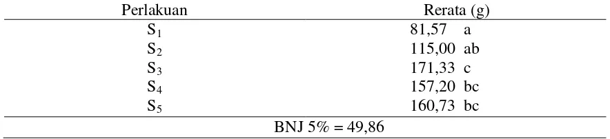 Tabel 4. Uji BNJ 5% pengaruh dosis pupuk kandang kotoran sapi terhadap  jumlah buah cabai   