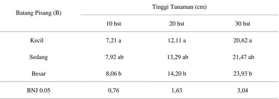 Tabel  1.  Rata-rata  tinggi  tanaman  sawi  umur  10,  20  dan  30  hst  akibat  perlakuan  batang  pisang  sebagai pot   Batang Pisang (B)   Tinggi Tanaman (cm)  10 hst  20 hst  30 hst  Kecil  7,21 a  12,11 a  20,62 a  Sedang   7,92 ab   13,29 ab   21,47