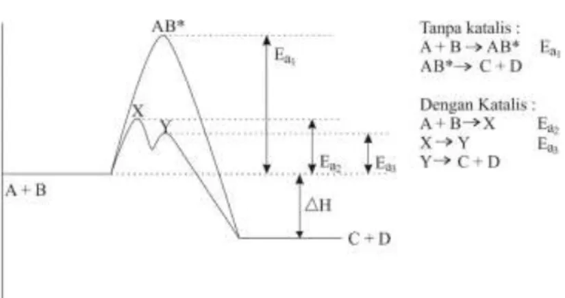 Gambar  2.5  menunjukan  bahwa  apabila  reaksi  berlangsung  tanpa  katalis,  reaksi  A  dan  B  akan  menempuh  jalur  dengan  memebentuk  kompleks  teraktivasi  AB *   yang  memerlukan  energi  aktivasi  sebesar  E a1 ,  sementara  itu,  pada  penambaha