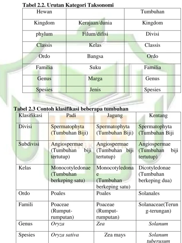 Tabel 2.2. Urutan Kategori Taksonomi 