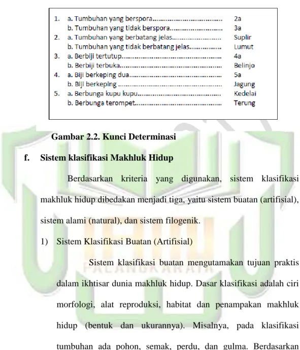 Gambar 2.2. Kunci Determinasi  f.  Sistem klasifikasi Makhluk Hidup 