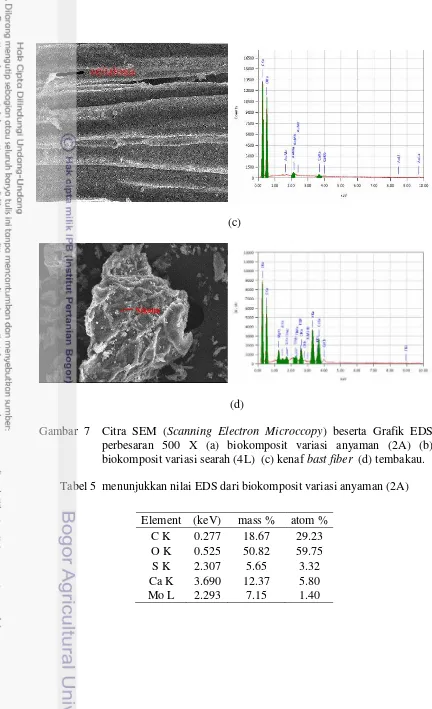 Gambar 7  Citra SEM (Scanning Electron Microccopy) beserta Grafik EDS 