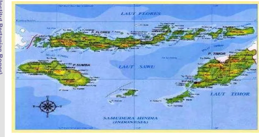 Gambar 2 Peta Wilayah Provinsi Nusa Tenggara Timur 