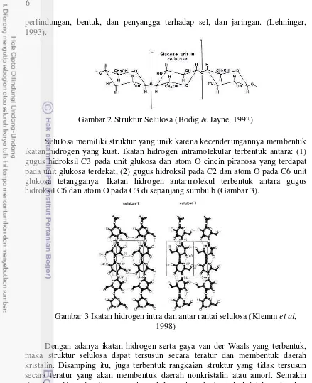 Gambar 2 Struktur Selulosa (Bodig & Jayne, 1993) 