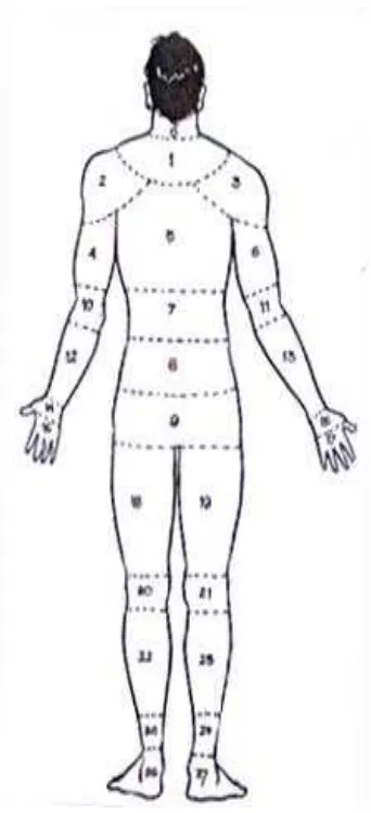 Gambar 3.1. Nordic Body Map 