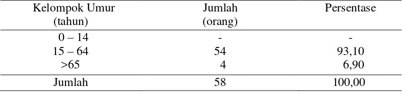 Tabel 11.  Sebaran umur petani responden nasabah kredit pertanian Bank Rakyat   Indonesia Unit Adiluwih, tahun 2009 