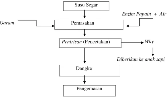 Gambar  1.  Diagram  Alir  Proses  Pembuatan    Dangke  (Marzoeki,  dkk,1978)  dalam  Isyana  (2012)