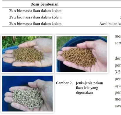 Tabel 1. Dosis pemberian pakan dalam budidaya ikan lele dumbo di “Kampung Lele”