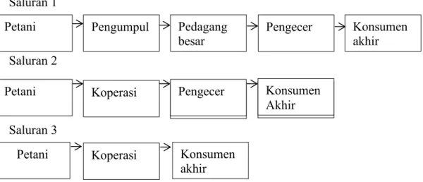 Gambar 2. Saluran pemasaran kopi robusta. 
