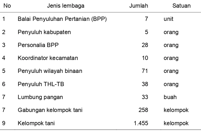 Tabel 7    Kelembagaan penyuluhan pertanian di Kabupaten Barito Kuala   
