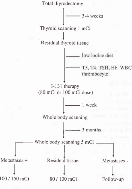 Figure l. at Managentent of therapy for thyroid cancer with I-13 lRarliotlrcrapy Unit Dr