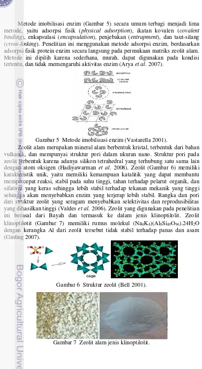 Gambar 7  Zeolit alam jenis klinoptilolit. 