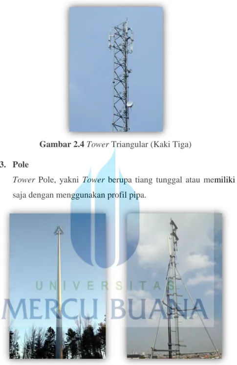Gambar 2.4 Tower Triangular (Kaki Tiga)  3.  Pole 