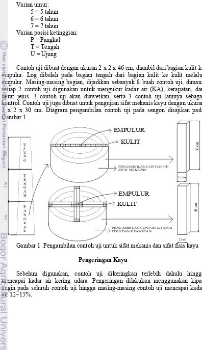 Gambar 1  Pengambilan contoh uji untuk sifat mekanis dan sifat fisis kayu