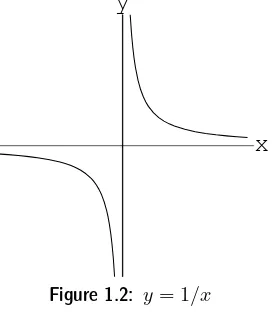 Figure 1.2: y = 1/x