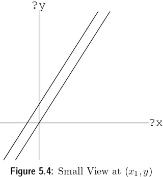 Figure 5.4: Small View at (x1, y)