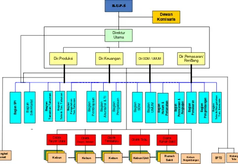 Gambar 2.2 Struktur Organisasi PT. Perkebunan Nusantara II 