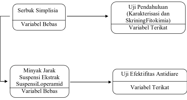 Gambar 1.1 Kerangka Konsep Penelitian 