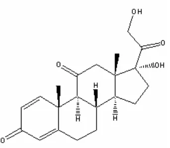 Gambar 3.4 Struktur Kimia Prednison 