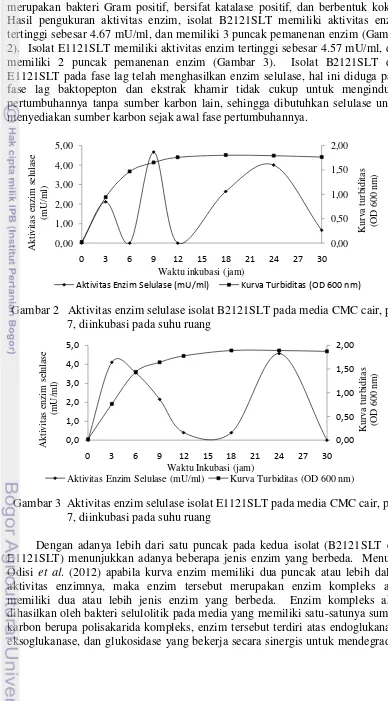 Gambar 2   Aktivitas enzim selulase isolat B2121SLT pada media CMC cair, pH  