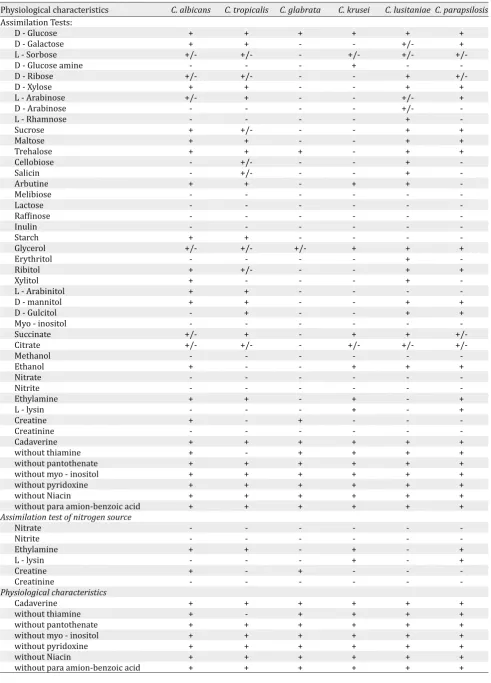 Table 3. Assimilation tests of substances as carbon source by Candida strains isolated from the study neonates in NICU