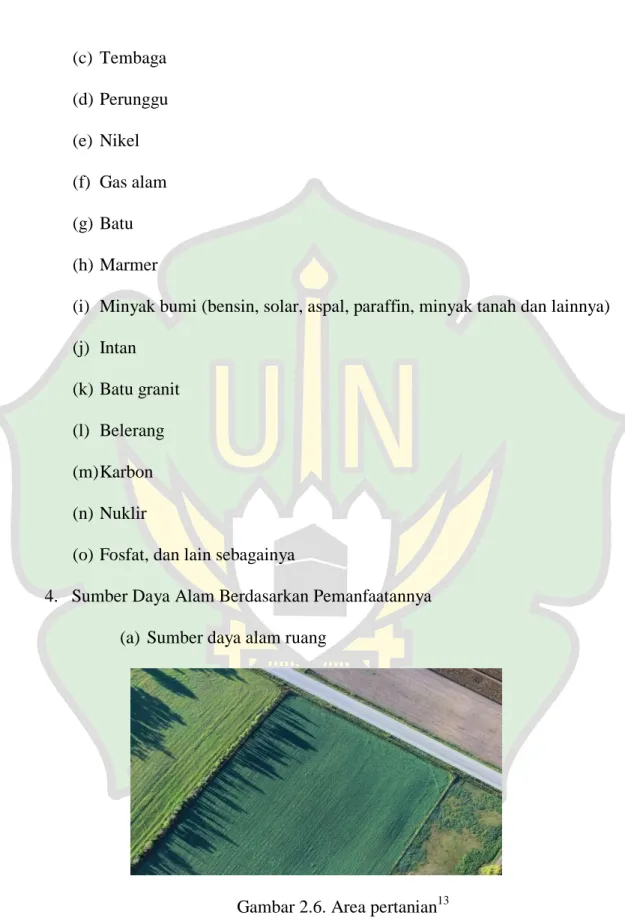 Gambar 2.6. Area pertanian 13