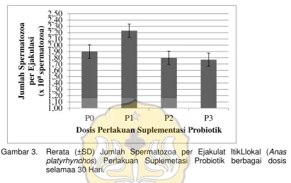 Gambar 3.Rerata (±SD) Jumlah Spermatozoa per Ejakulat ItikLlokal (Anas