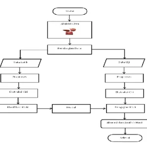 Gambar 3. Diagram Alir Klasifikasi Jenis Daging  3.1  Akuisisi Citra 