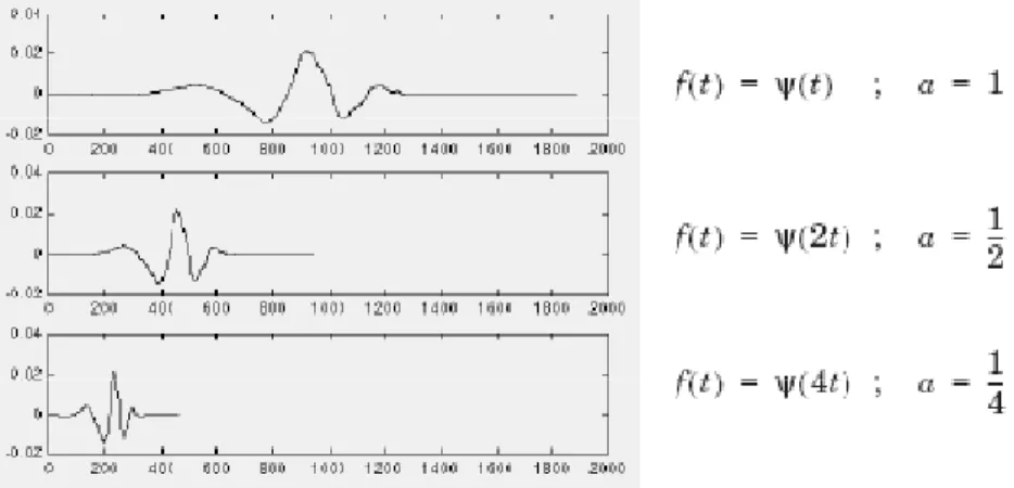 Gambar II-7. Faktor Skala Wavelet