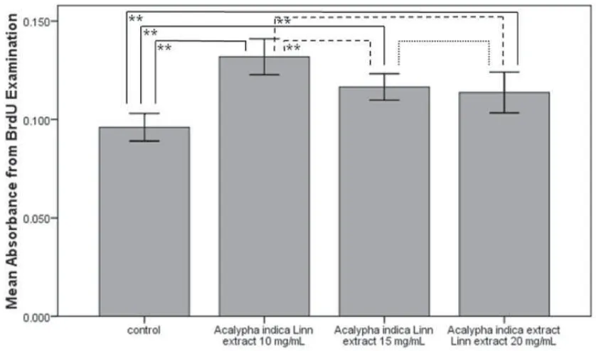Figure 2. Comparison of mean of 5-bromo2’-deoxy-uridine (BrdU) absorbance between control group with treatment groups given Acalypha indica Linn root extract with consecutive doses of 10, 15, and 20 mg/mL