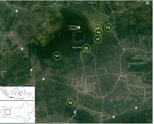 Figure 1. Study site, seven habitat types on Mount Slamet, Banyumas and Purbalingga regencies, Central Java