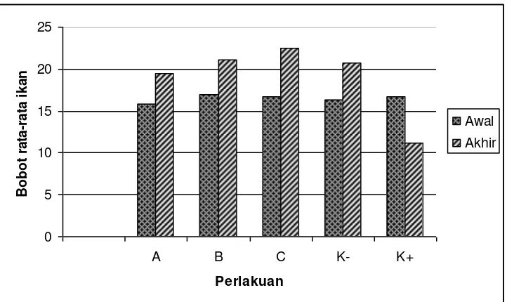 Gambar 8.  Bobot rata-rata ikan patin selama penelitian 