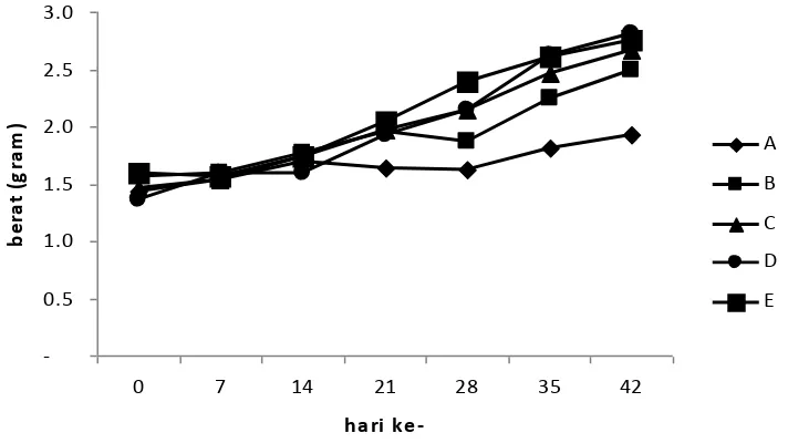 Gambar 4. Grafik pertumbuhan berat ikan patin yang diberi pakan dengan        proporsi tepung limbah ikan asin dan tepung kedelai yang berbeda         setiap 7 hari selama 42 hari
