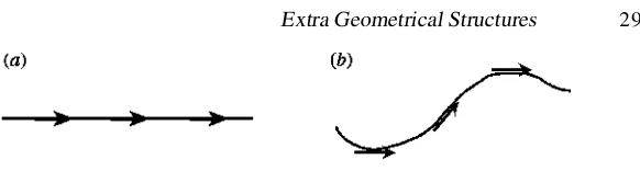 Figure 2.9. (a) A geodesic curve: successive tangent vectors are parallel to each other