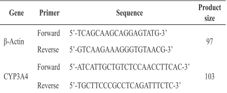 table 1. β-actin and CYP3A4 primers