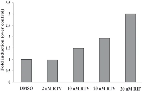 Figure 3. Effect of primaquine and ritonavir co-treatment on the expression of CYP3A4 mRNA in HepG2 cells.