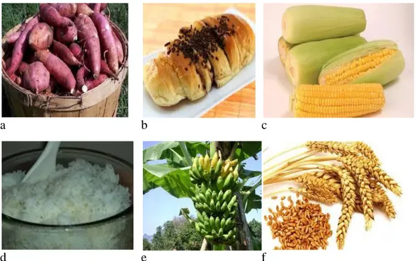 Gambar 2.1: Contoh jenis makanan yang mengandung karbohidrat Sumber gambar: https://www.google.co.id/