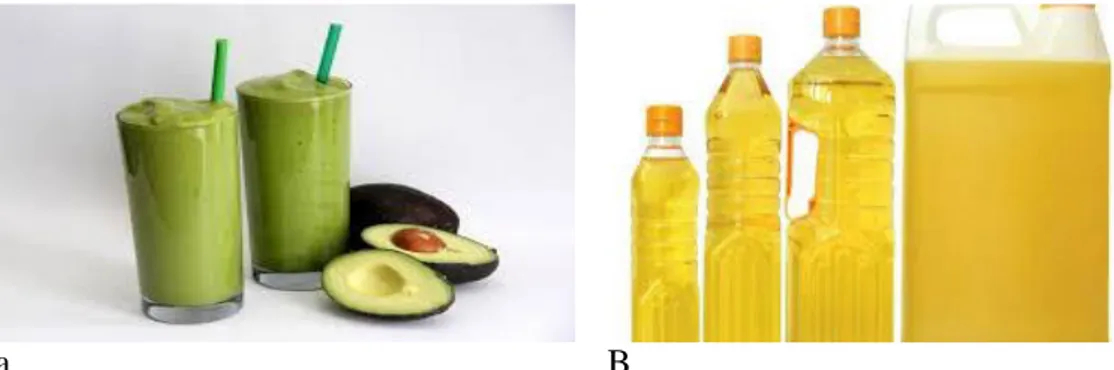 Gambar 2.3: Contoh jenis makanan yang mengandung lemak Sumber gambar: https://www.google.co.id/