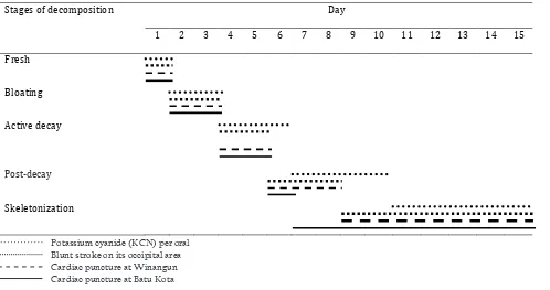 Table 3. Duration of decomposition stages in four different pig carcasses in Manado