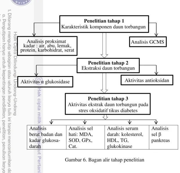 Gambar 6. Bagan alir tahap penelitian 